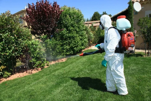 Pickerington Mosquito Removal Technicians