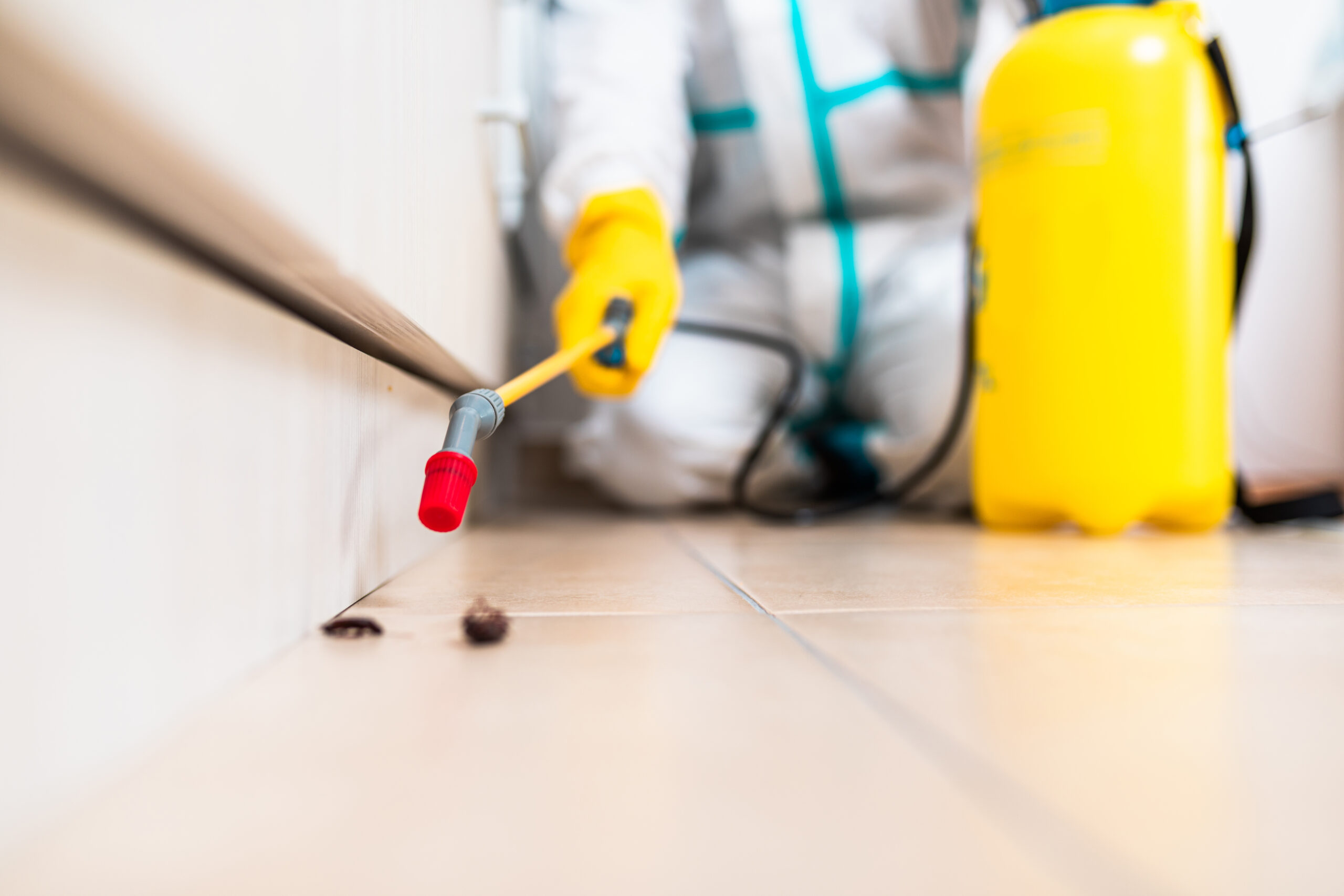 Pickerington Cockroach Control Specialists