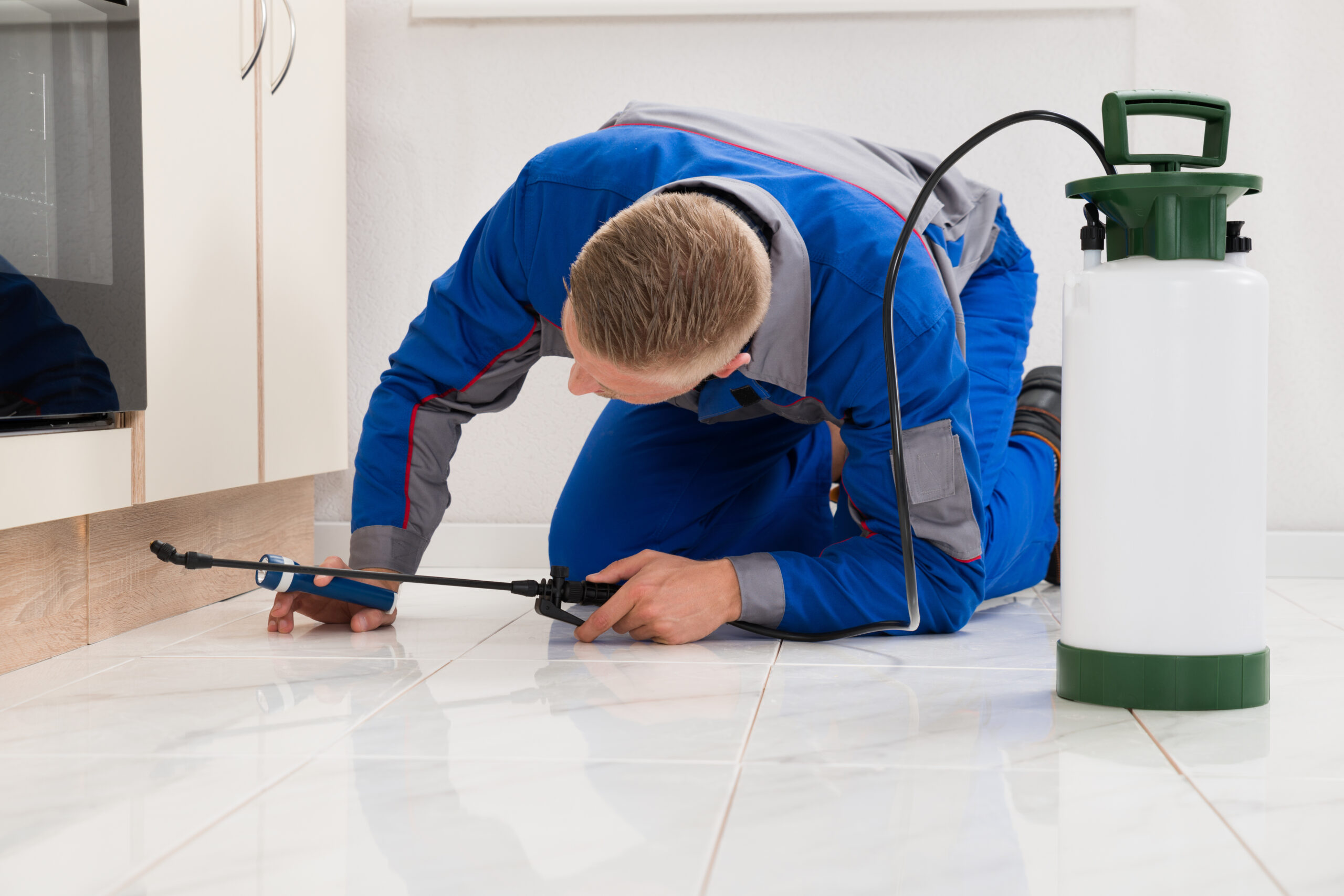 Pickerington Termite Inspectors